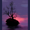 Island for Sale
