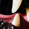 dog's mouth