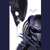 AVP