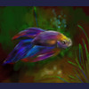 Fishy